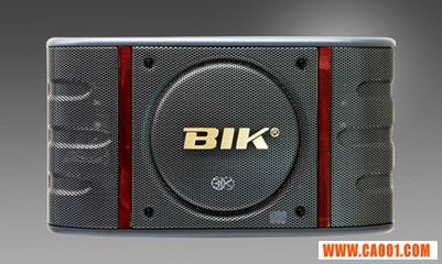 BIK BS998卡拉OK音箱批發(fā) 專業(yè)音響設(shè)備的高性價比選擇