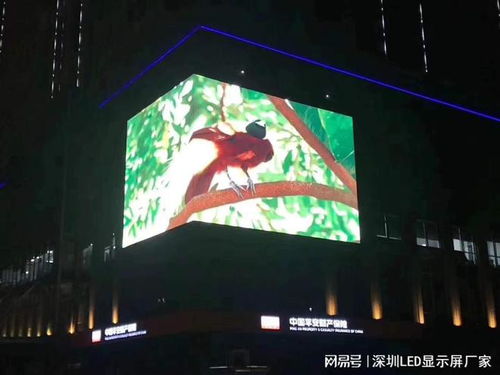 戶外小間距P3全彩高清LED廣告屏參數(shù)及造價(jià)預(yù)算解析